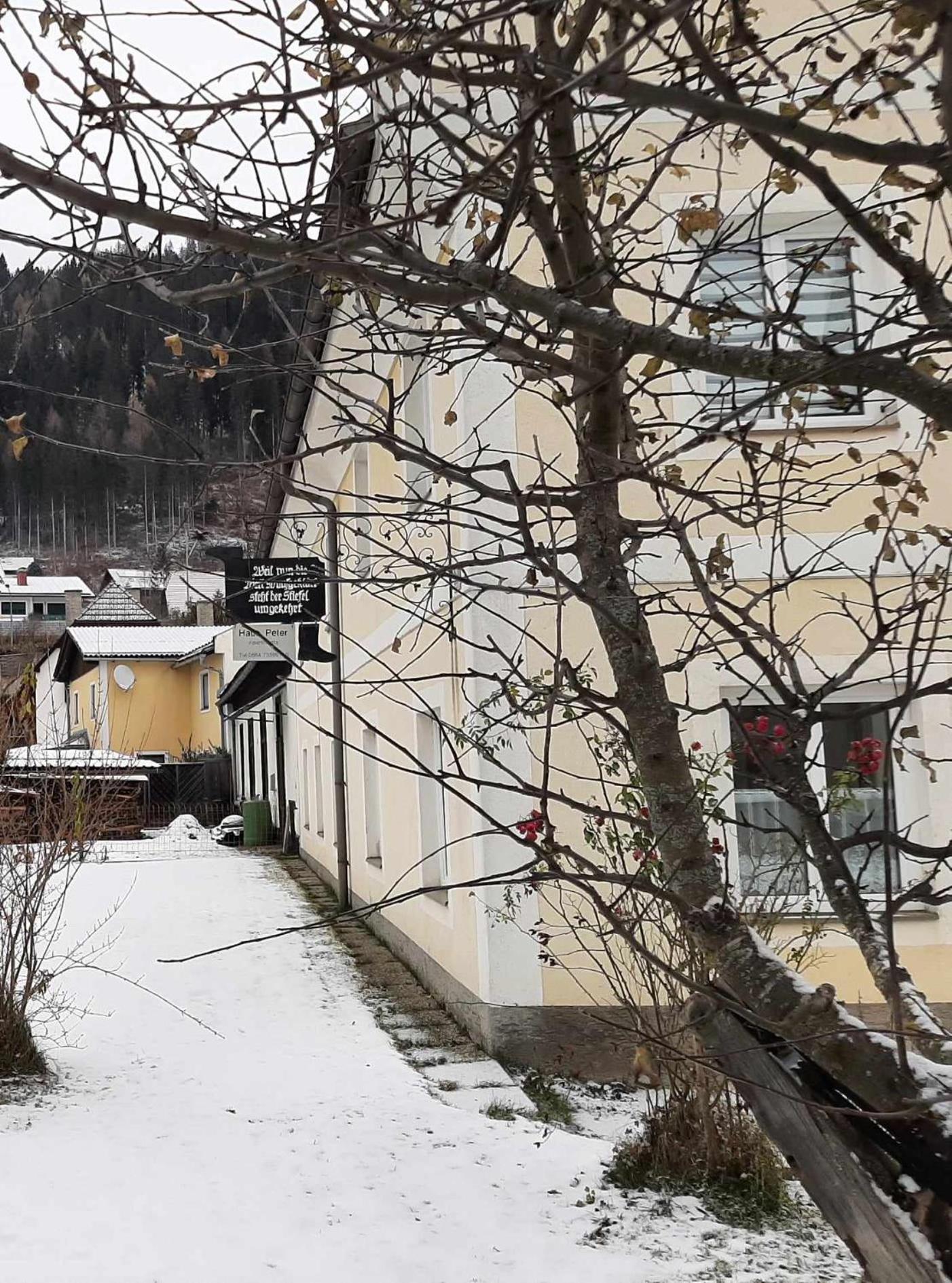 Apartament Haus Peter Murau Zewnętrze zdjęcie